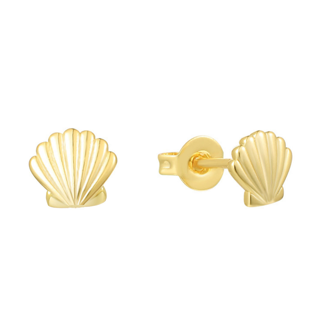 seashell_2.png