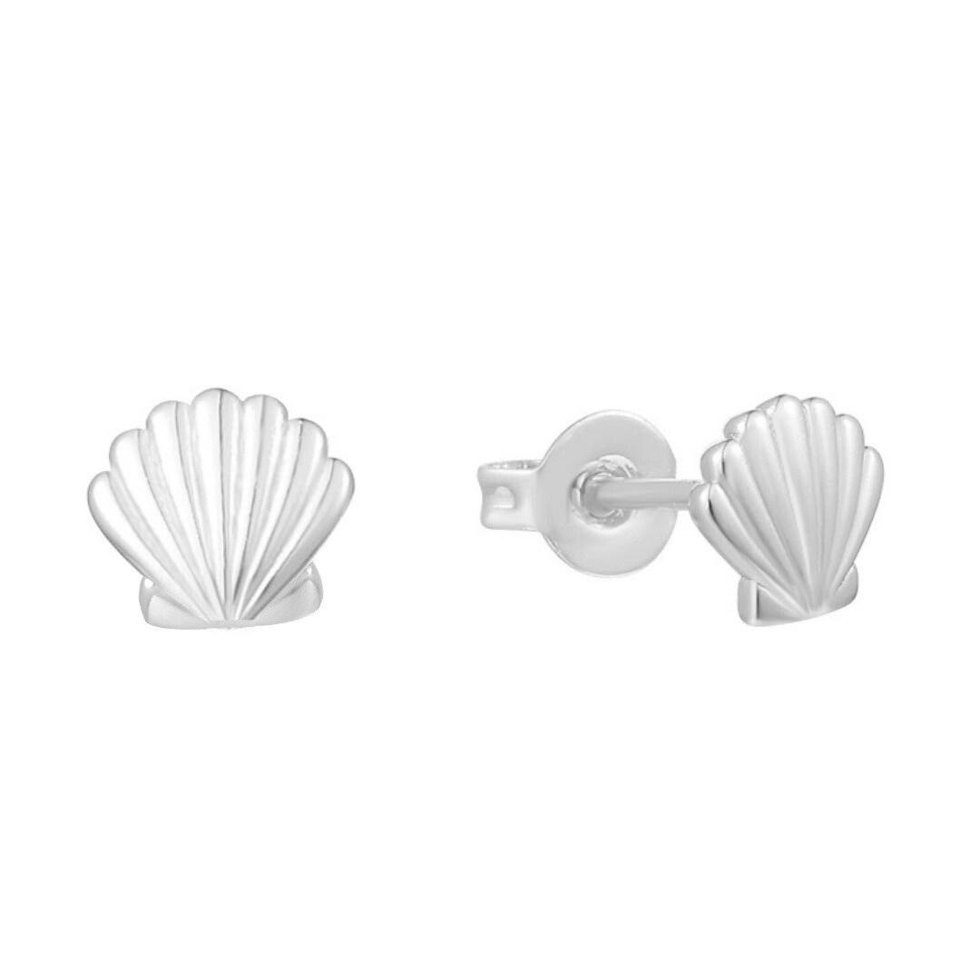 seashell_3.png
